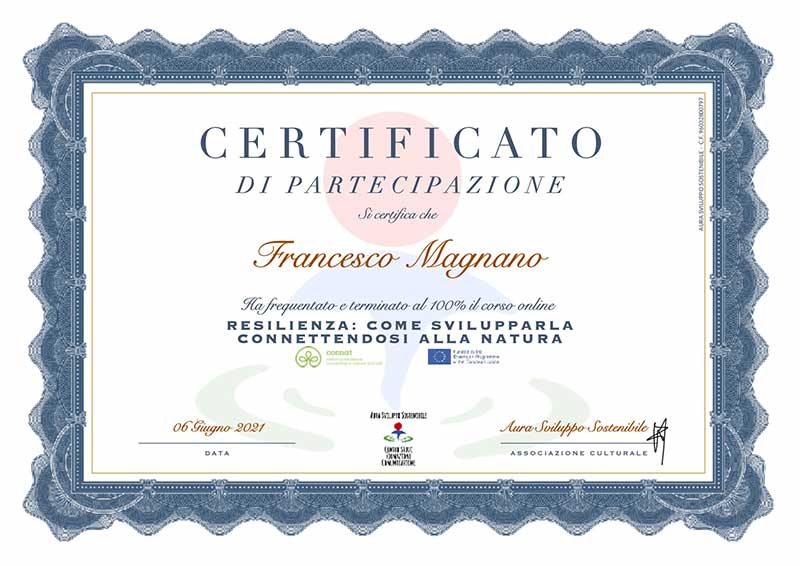 Certificato Partecipazione AURA Francesco Magnano