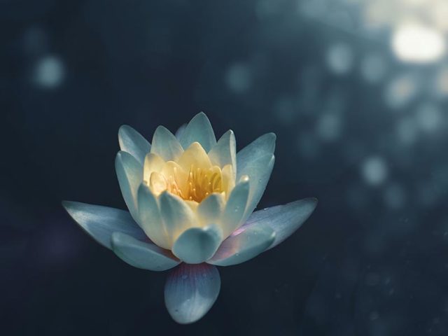 Corso di Mindfulness