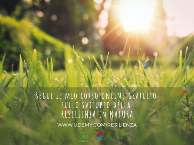 Resilienza: come svilupparla connettendosi alla natura